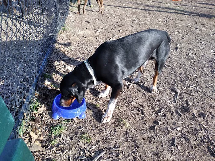 Spotsy Dog Park Inc. 7