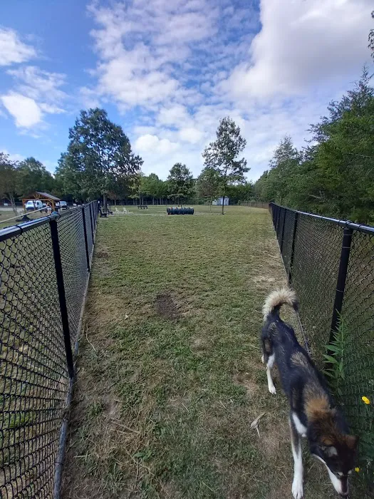 Spotsy Dog Park Inc. 9