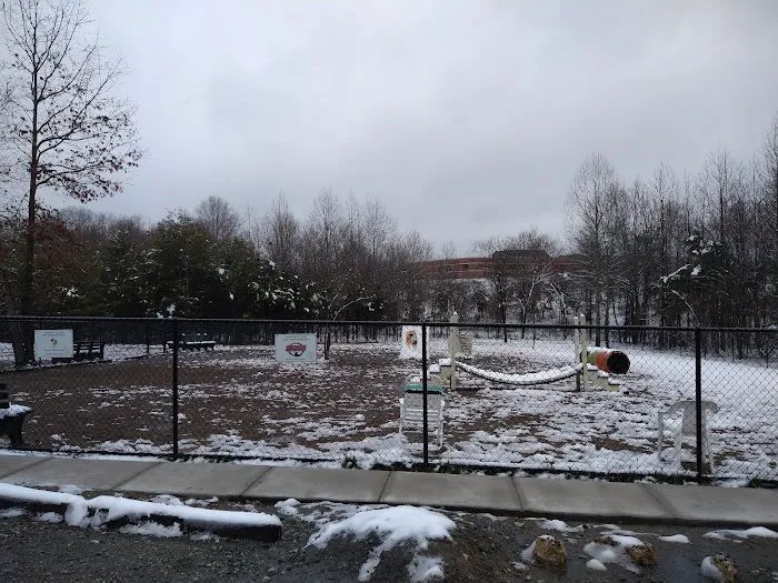 Spotsy Dog Park Inc. 3