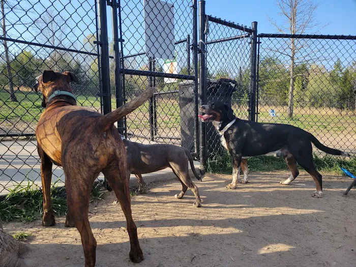 Spotsy Dog Park Inc. 4