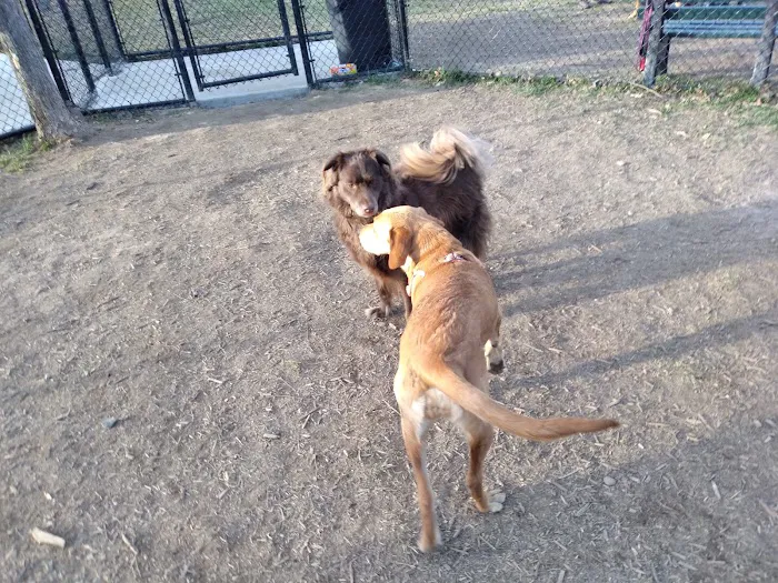 Spotsy Dog Park Inc. 6