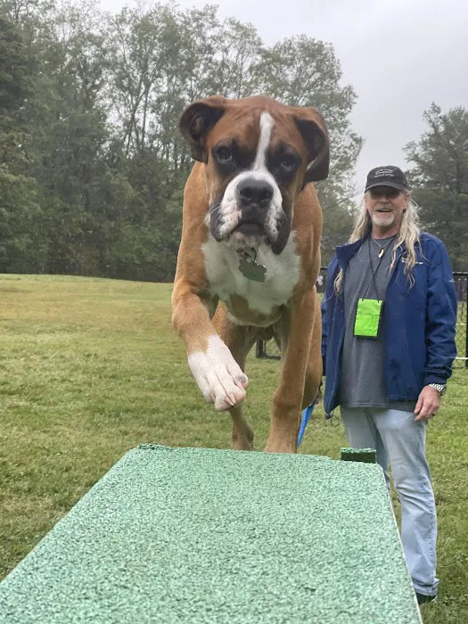 Happy Tails Dog Club 4