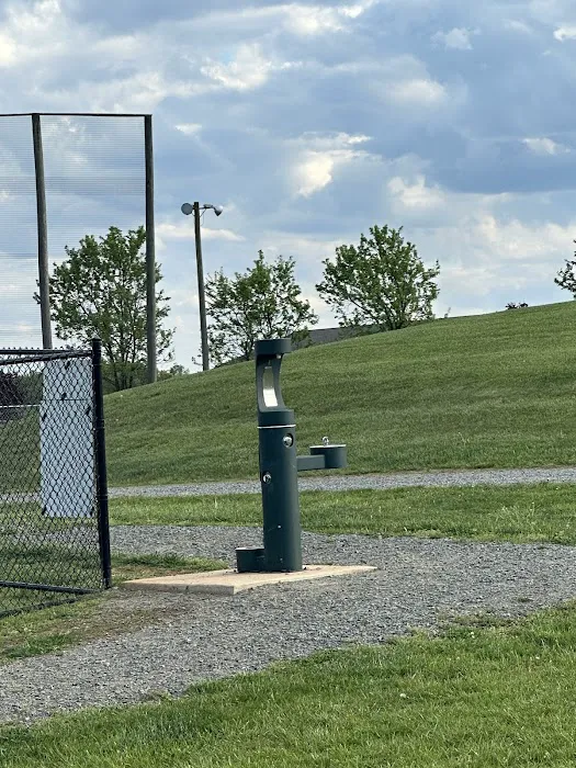 Skydog Orange Dog Park 4