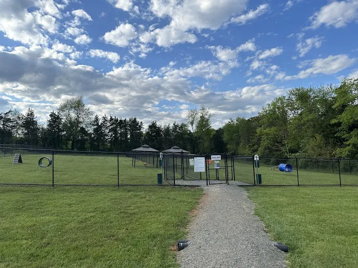 Skydog Orange Dog Park 2
