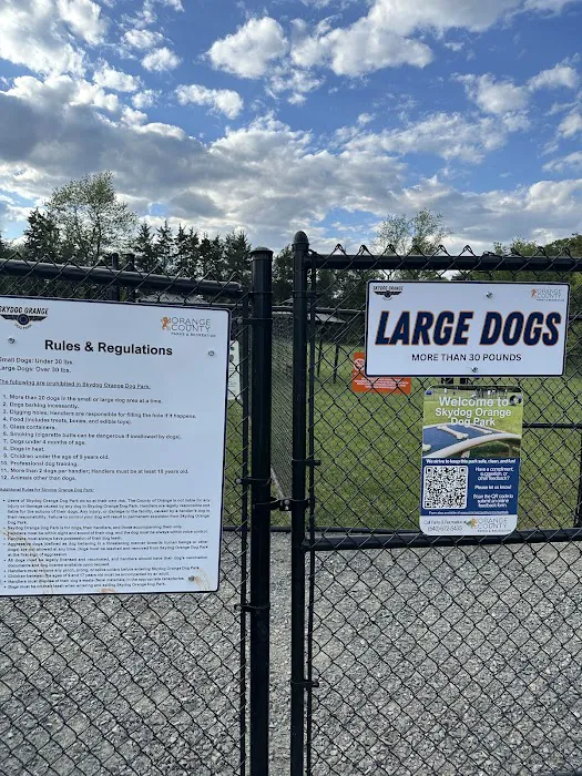 Skydog Orange Dog Park 5