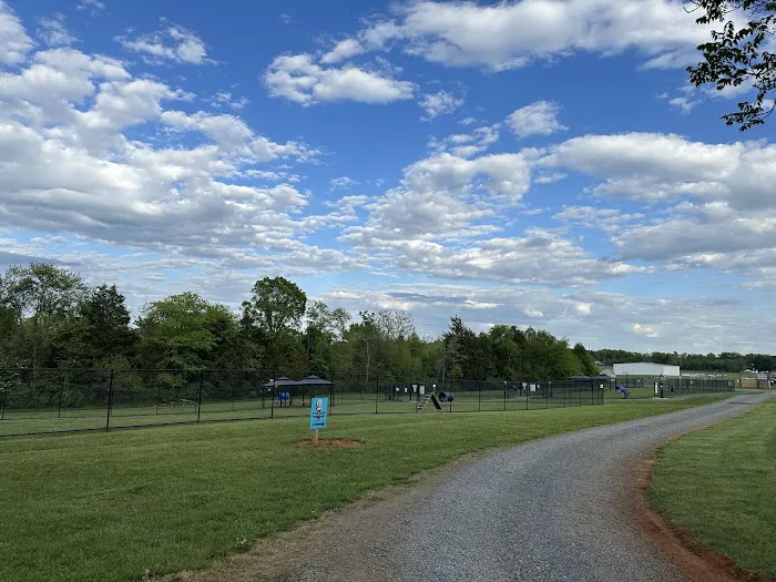 Skydog Orange Dog Park 1