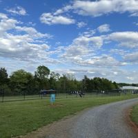 Skydog Orange Dog Park ico