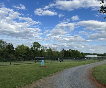 Skydog Orange Dog Park