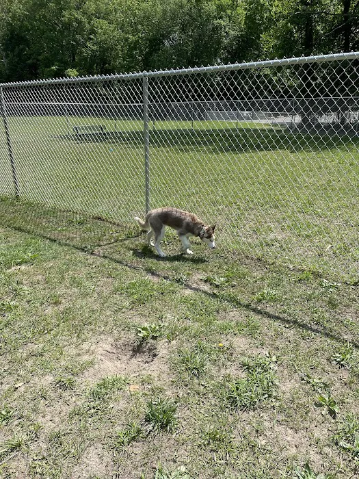 Lindenwold Dog Park 1