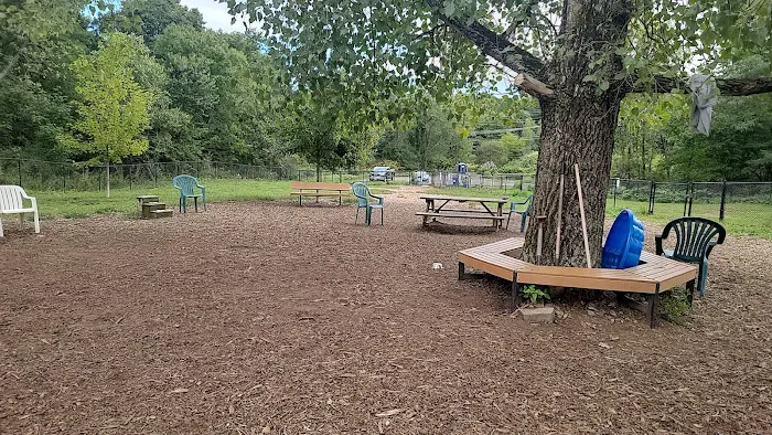 Colchester Dog Park 1