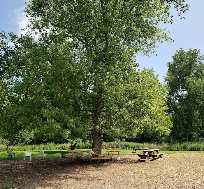 Colchester Dog Park 9