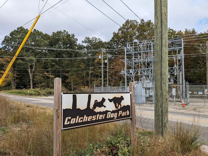 Colchester Dog Park 2