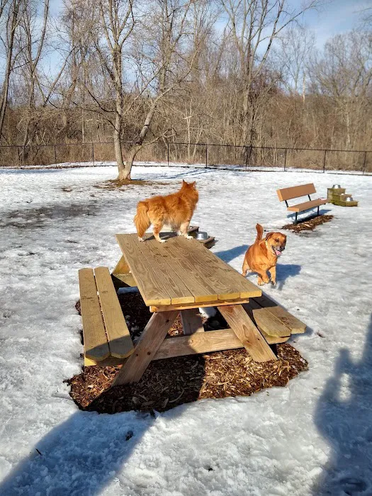 Colchester Dog Park 5