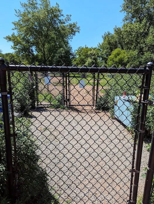 Colchester Dog Park 3