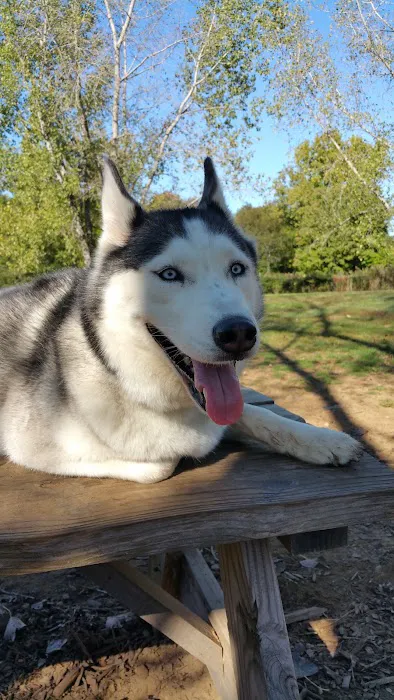 Colchester Dog Park 8
