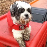 The Enfield Dog Park ico