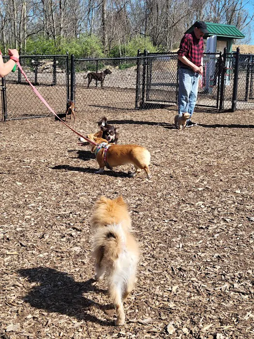 The Enfield Dog Park 6