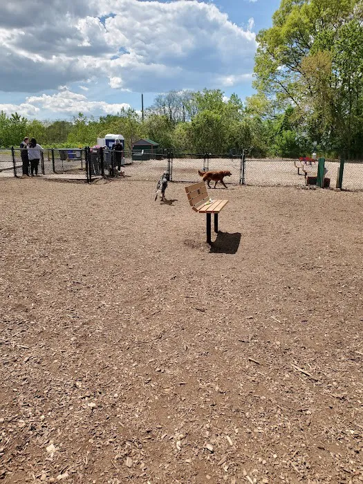 The Enfield Dog Park 7