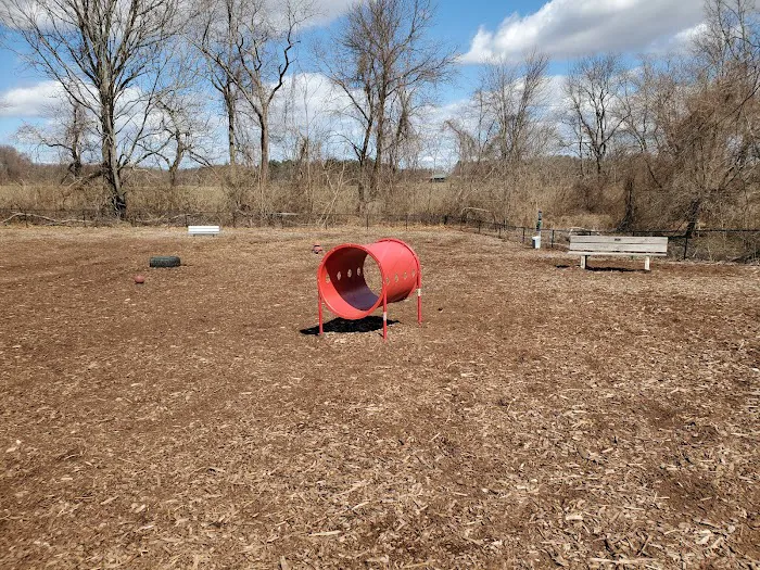 The Enfield Dog Park 8