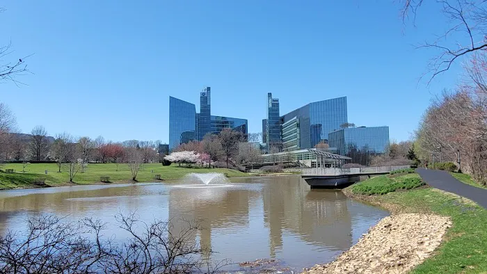 The Mile Dog Park 3