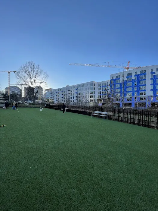 The Mile Dog Park 8