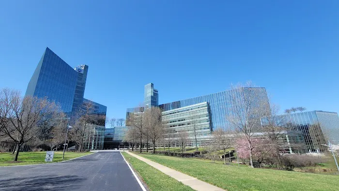 The Mile Dog Park 4