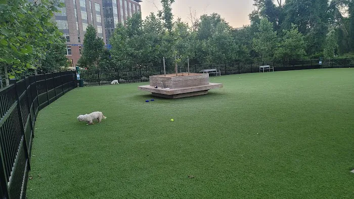 The Mile Dog Park 1