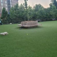 The Mile Dog Park ico