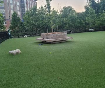 The Mile Dog Park