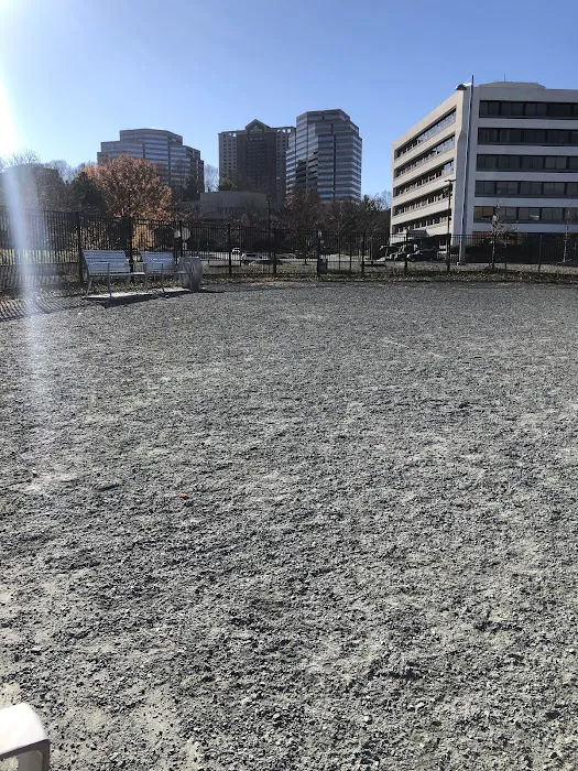 The Mile Dog Park 10