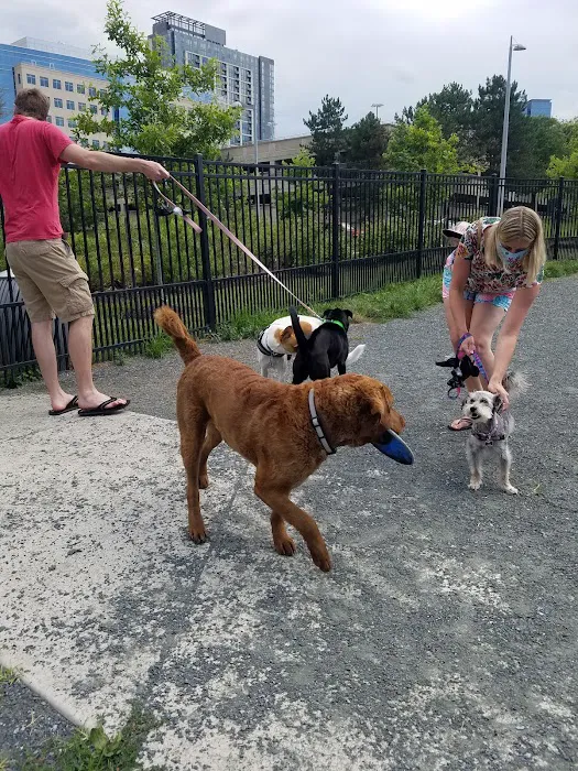 The Mile Dog Park 2