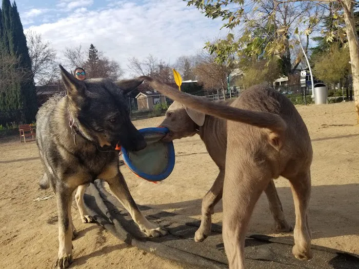 Truitt Bark Park 7