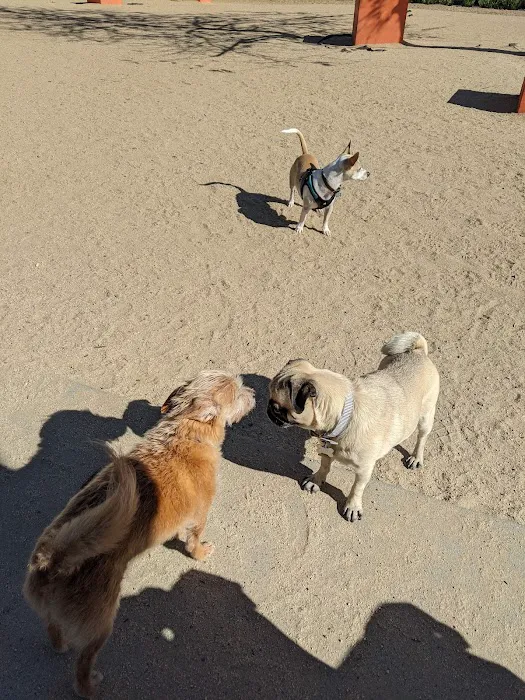 Truitt Bark Park 3