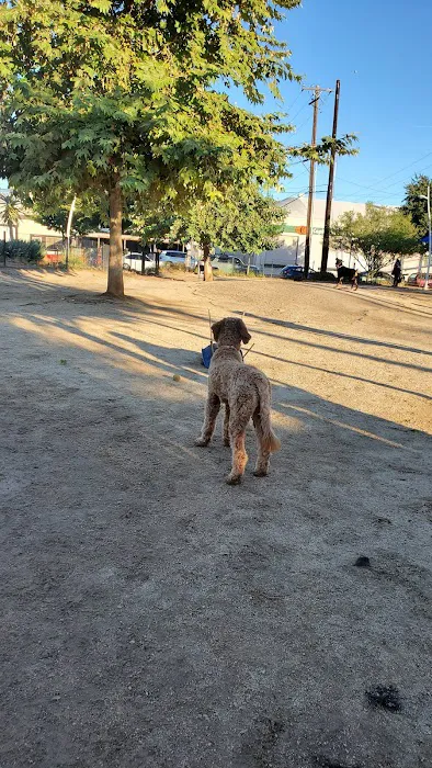Truitt Bark Park 9