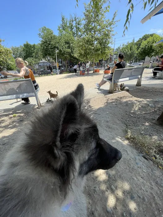 Truitt Bark Park 10