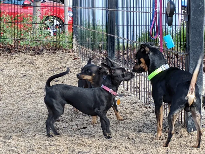Truitt Bark Park 5