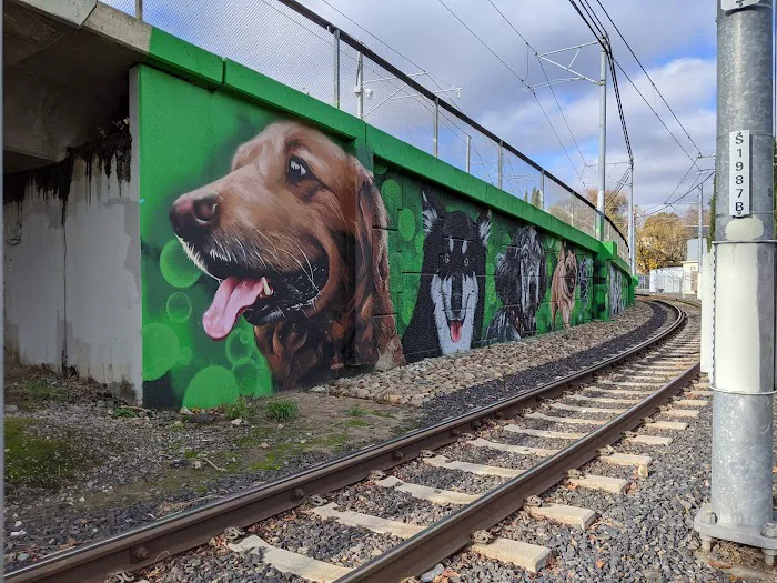 Truitt Bark Park 6