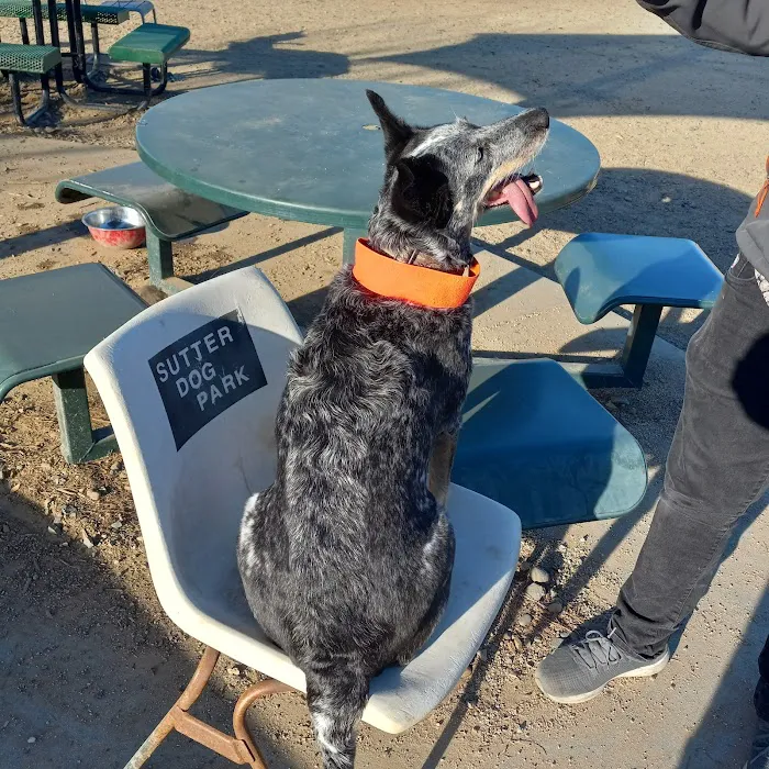 Sutter’s Landing Dog Park 7