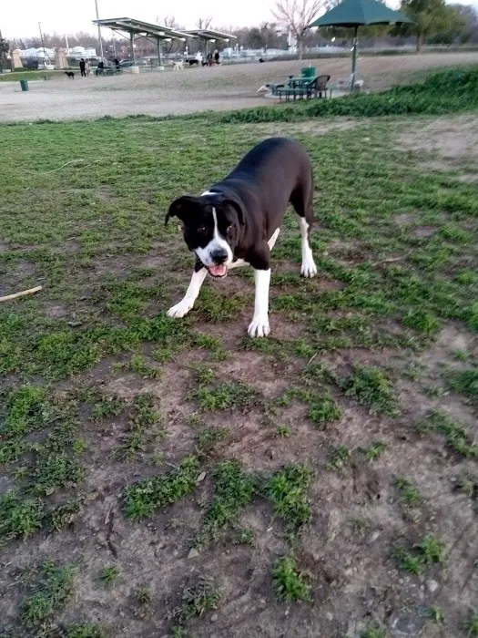 Sutter’s Landing Dog Park 5