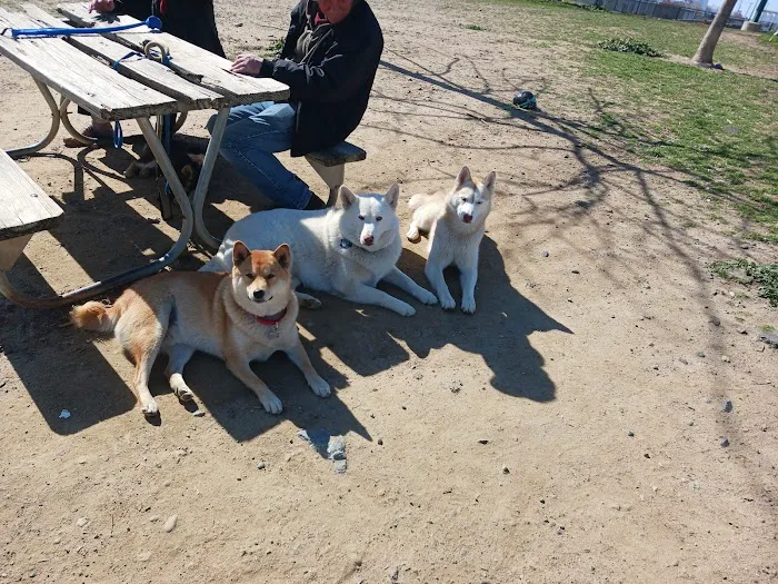 Sutter’s Landing Dog Park 9