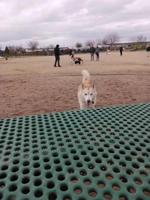 Sutter’s Landing Dog Park 10
