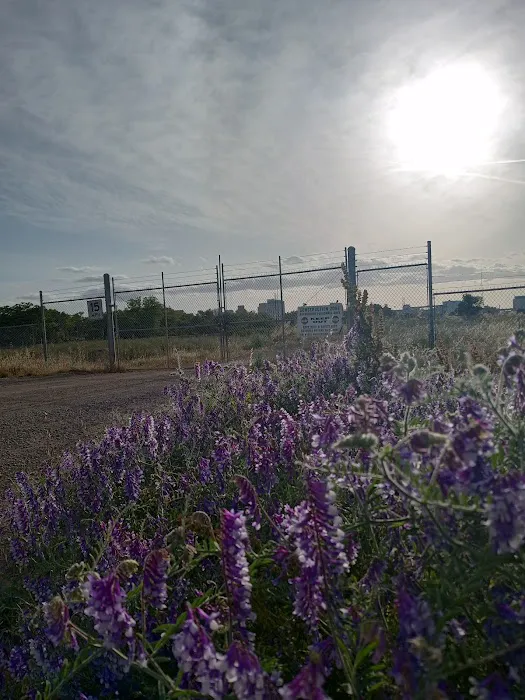 Sutter’s Landing Dog Park 8