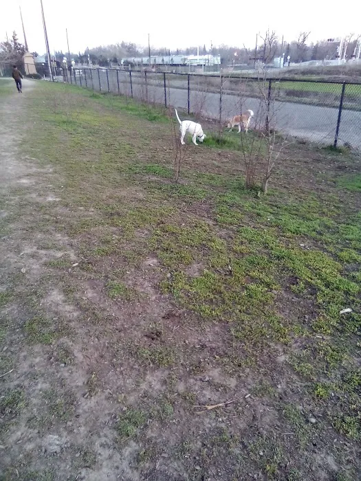Sutter’s Landing Dog Park 6