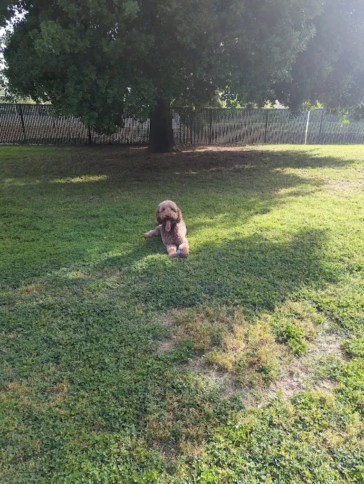 Bannon Creek Dog Park 5