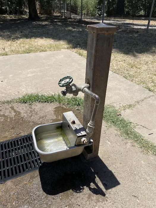 Bannon Creek Dog Park 10