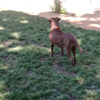Sam Combs Park ico