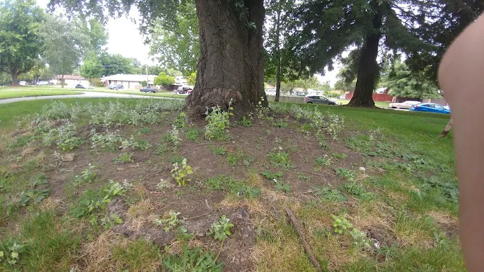 Sam Combs Park 8