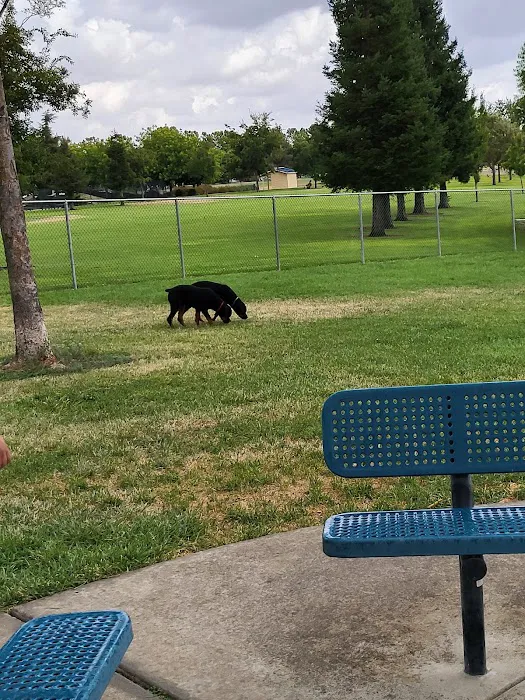 Tanzanite Dog Park 2