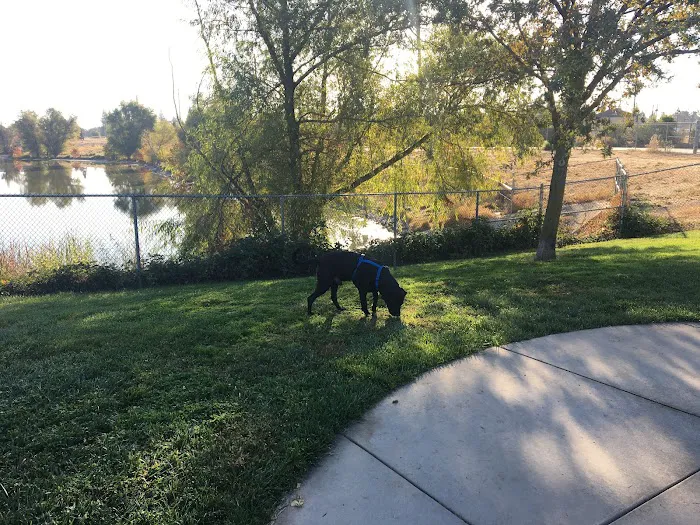 Tanzanite Dog Park 3