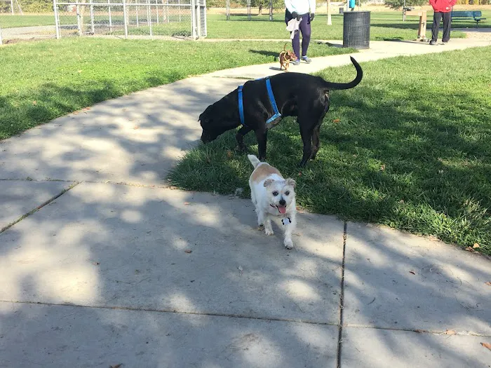 Tanzanite Dog Park 1
